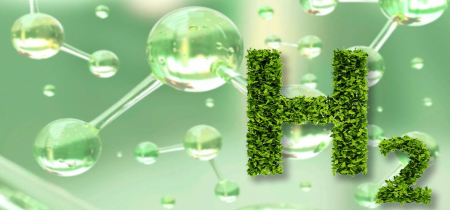 El hidrógeno verde como vector energético en los 41 Cursos de Verano de la Universidad de Cádiz en San Roque